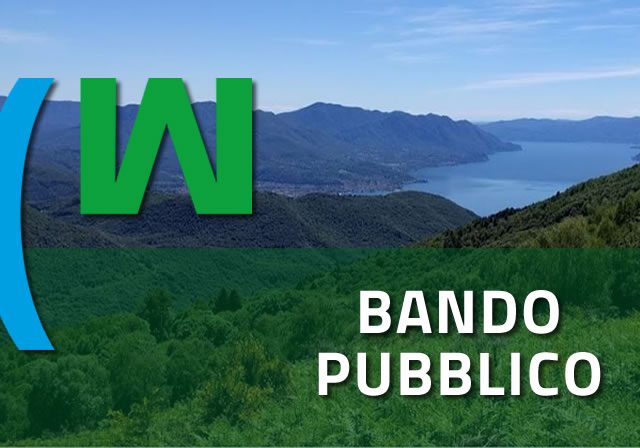 Bando Pubblico